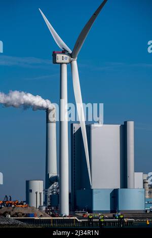 Uniper power plant Maasvlakte , coal-fired power plant, in the seaport of Rotterdam, the Netherlands, deep-water port Maasvlakte 2, on an artificially Stock Photo