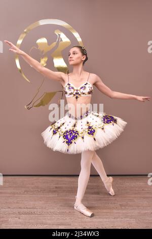 young beautiful graceful caucasian ballerina practice ballet positions in tutu skirt. Classical Ballet dancer in studio standing on tiptoe Stock Photo