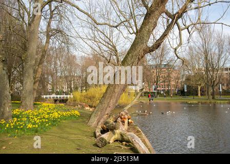people at Oosterpark in Amsterdam, Holland Stock Photo