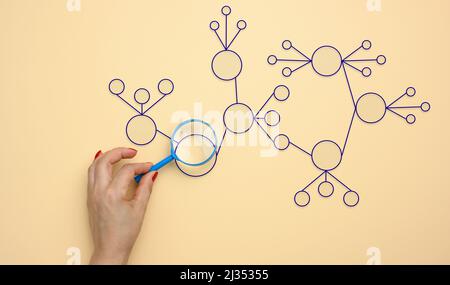 woman's hand holds a magnifying glass on a beige background. Automate business processes and workflows using flowcharts. Reduction of time for process Stock Photo