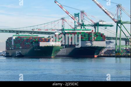USA: California: Evergreen container ship EVER LUNAR arriving with shipping containers at Everport Container Terminal Port of Los Angeles (Port of LA) Stock Photo