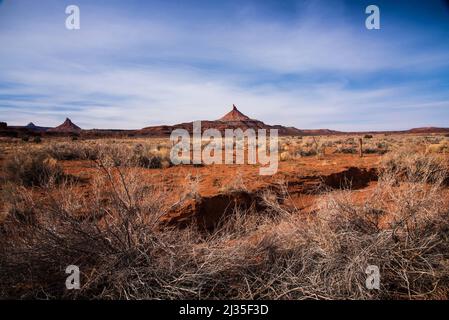 Red rock mesas and rock formations in Valley of The Gods.  Located in Bears Ears National Monument, Utah, USA. Stock Photo