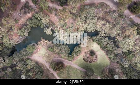 M letter shape in nature Stock Photo