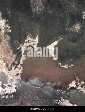 M letter shape in nature Stock Photo