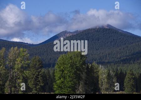 A beautiful landscape view of evergreen dense forest and mountains against blue cloudy sky in bright sunlight Stock Photo