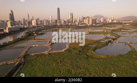 Shenzhen skyline view from the boundary of Hong Kong Ma Tso Lung area Stock Photo