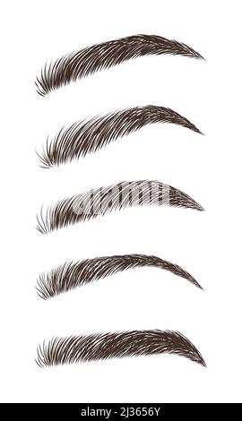 Eyebrows in different shapes. Linear vector Illustration in trendy minimalist style. Brow bar logo Stock Vector