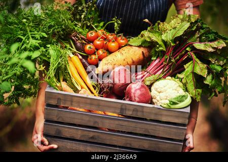 Freshly grown by nature. Cropped shot of an unrecognizable female farmer holding a crate full of fresh produce at her farm. Stock Photo