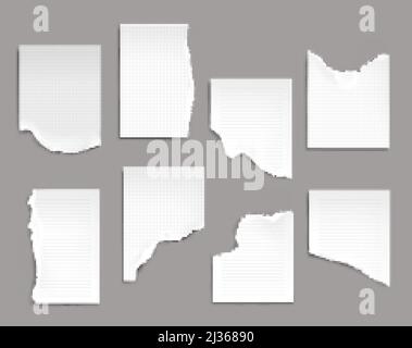 Notebook sheets with torn edges. Ragged lined and checkered blank pages for memo and daily planner empty notepad papers pieces isolated on grey backgr Stock Vector