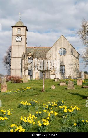 Daffodils outside St. Mary’s and Old Parish Church, Hawick, Scottish Borders, Scotland, UK Stock Photo