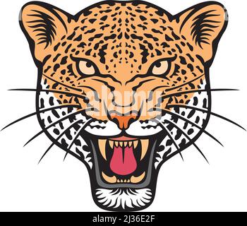 Leopard face (animal head) color. Vector illustration. Stock Vector