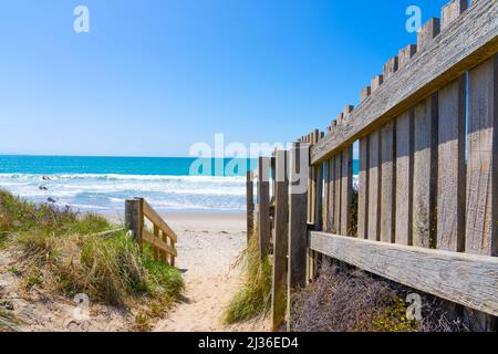 Sand dunes and sea of Papamoa, Mount Maunganui Stock Photo