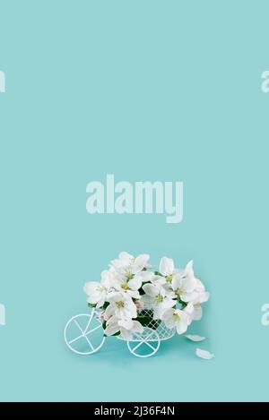 A white retro toy bicycle delivering white apple blossoms on a blue background. Valentine's day card, birthday gift, Women's Day. Delivery of holiday Stock Photo
