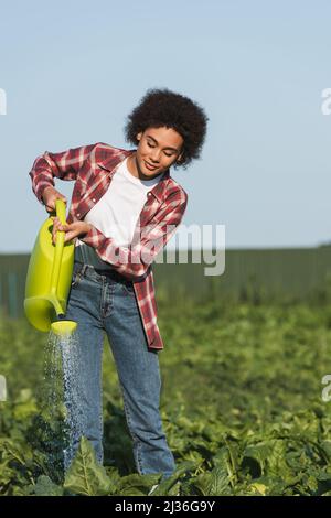 young african american farmer watering green plants in field Stock Photo