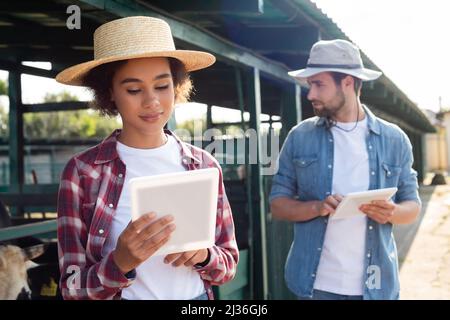 interracial farmers using digital tablets near cowshed on farm Stock Photo
