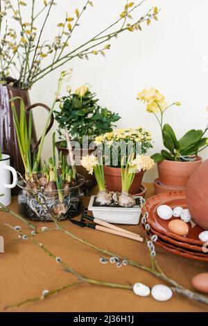 Easter holiday decor. Daffodils and hyacinths in a pot, eggs and branches in vases Stock Photo