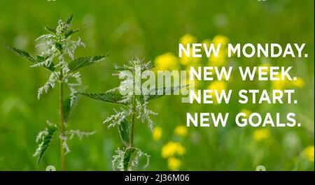 New Monday. New week. New start. New goals. Stock Photo