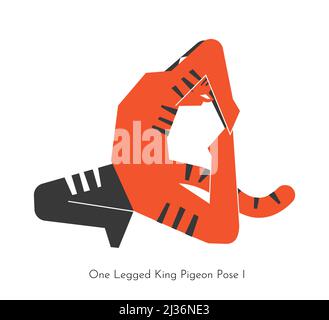 Vector isolated concept with cartoon animal learning yoga practice - Eka Pada Rajakapotasana 1. Chinese tiger does one legged king pigeon pose I. Flat Stock Vector