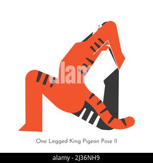 Vector isolated concept with cartoon animal learning yoga practice - Eka Pada Rajakapotasana 2. Asian tiger does one legged king pigeon pose II. Simpl Stock Vector