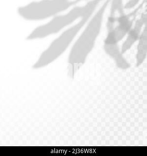 The effect of overlaying shadows. Natural light layout.Realistic shadow of tropical leaves or branches on transparent checkered background Stock Vector