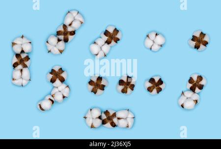 Kit of punctuation marks made of cotton flowers and isolated on solid blue background. Floral numbers and alphabet concept. Part of the set of cotton Stock Photo