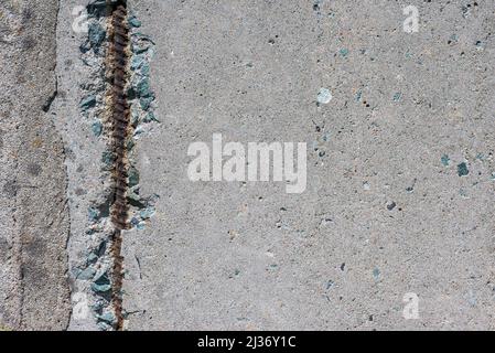Old concrete walls with armature. Stock Photo