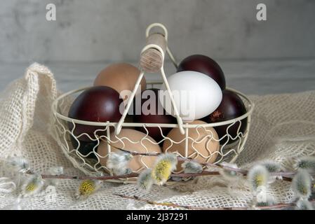 Easter colored eggs and natural eggs lie in a small basket decorated with willow branches. Stock Photo