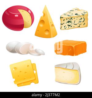 Set of cheese types roquefort, brie and maasdam, mozzarella, gouda or parmesan. Dairy production, farm natural food whole and pieces isolated on white Stock Vector