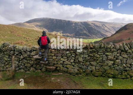A woman stood on steps in a dry-stone wall on Low Rigg looking at the view of Clough Head and St Johns in the Vale in the English Lake District National Park, Cumbria, England. Stock Photo