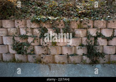 Stone brick garden wall, landscape with green grasses, rock texture and plants, front view Stock Photo