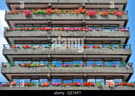 Balconies on Barbican upmarket homes in City of London residential estate rows of colourful hanging baskets & window boxes on balcony walls England UK Stock Photo