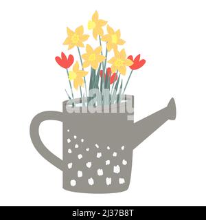 Hand-drawn first spring flowers in a garden watering can on a white background. Tulips and daffodils vector illustration. Botanical retro picture for Stock Vector