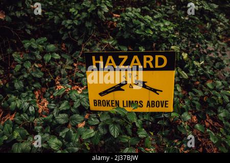 yellow hazard sign. broken limbs above. tree safety warning in Arboretum Park, Seattle, WA Stock Photo