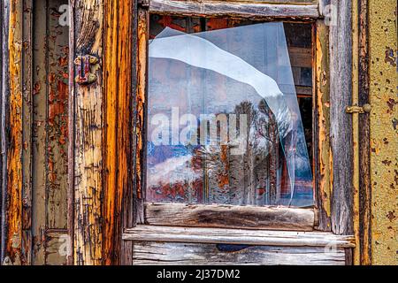 A very old train car window with broken glass and a reflection of the aspens in the area. Rough wood frame, weathered and is turning colors. Stock Photo