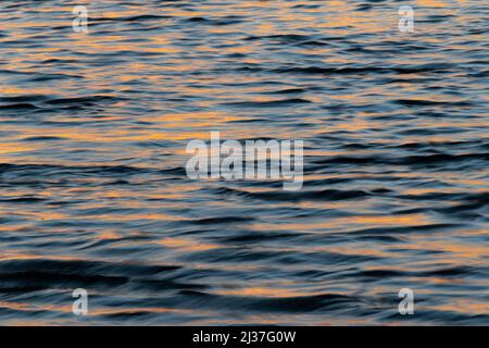 Wavy water surface during sunset, golden light reflecting in water Stock Photo