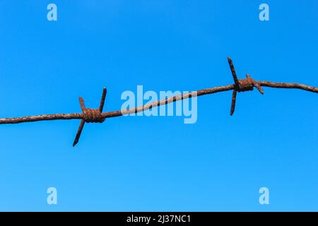 Old rusty barbed wire against the blue sky Stock Photo