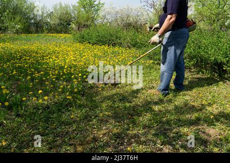 work to mow grass and dandelions with a trimmer. process of mowing tall grass with a trimmer. Copy space. Stock Photo