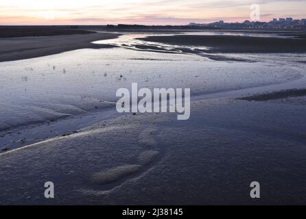 Local Nature Reserve of river Douro estuary, wetlands area at dusk in Porto Portugal. Stock Photo