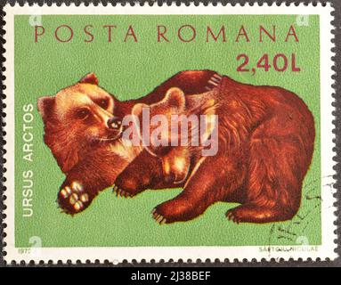 Cancelled postage stamp printed by Romania, that shows Brown bear cubs, circa 1972. Stock Photo