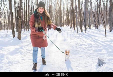 Young happy woman having fun in snowy winter park with Corgi baby dog Stock Photo