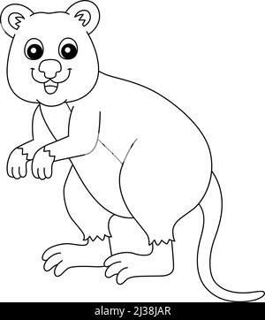 Quokka Animal Coloring Page Isolated for Kids Stock Vector