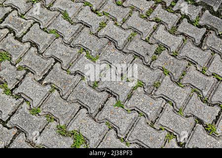 Patterned paving blocks, cement brick floor Stock Photo