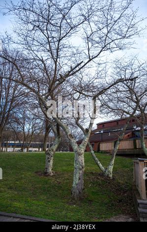 A vertical daytime view of the Battleship Cove Fall River, Massachusetts Stock Photo