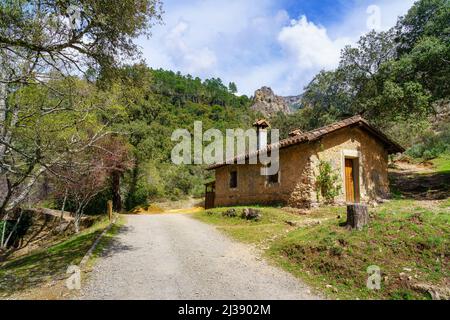 Small stone house on the mountain inside the forest with lush vegetation. Stock Photo