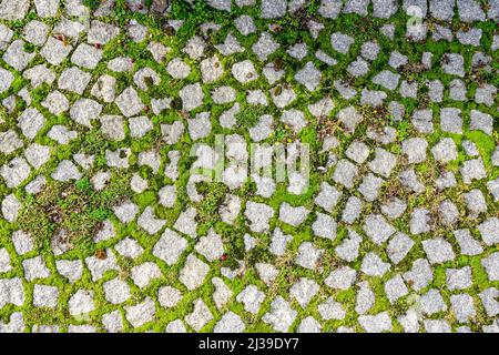 green grass grows through the gaps in the pavement granite stones Stock Photo