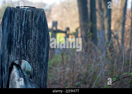 Large aperture causing a narrow depth of field and variations in focus between near and far subjects Stock Photo