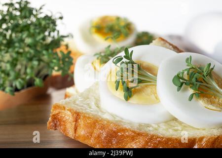 Breakfast sandwich with hard boiled eggs and micro green. Stock Photo