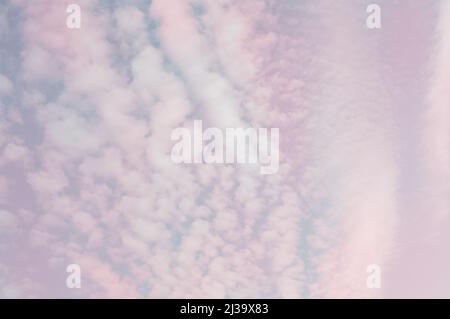 Pastel sky with chemtrails, white and pink and blue shades Stock Photo