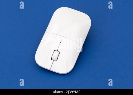 White computer mouse on the blue background. Stock Photo