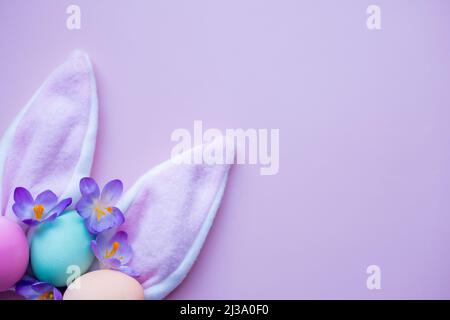 bunny ears, easter eggs and spring flowers on a lilac background. simple minimalism flat lay top view copy space. Stock Photo